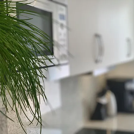 Koehnke 戈斯拉尔